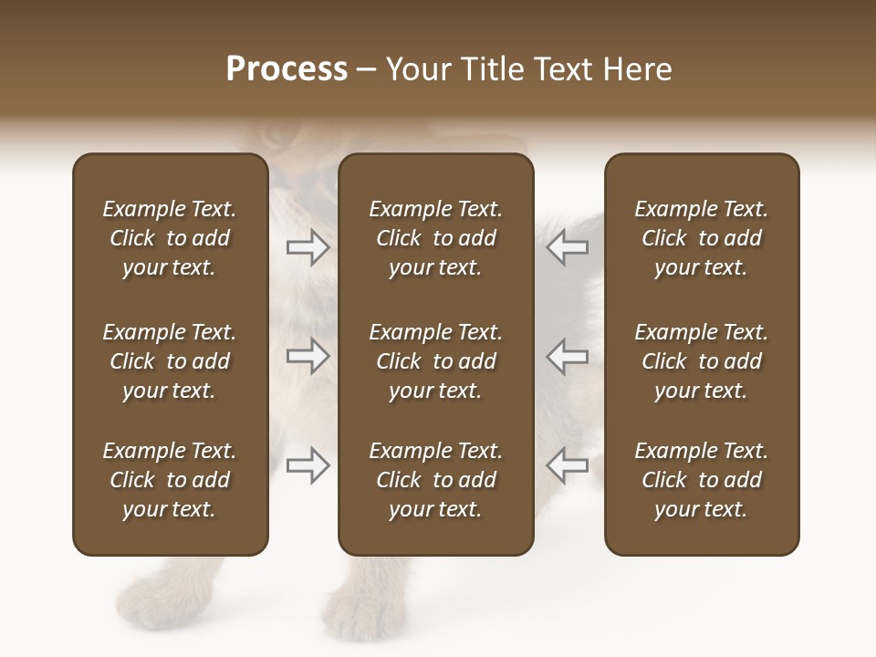 A Small Kitten Standing On Its Hind Legs PowerPoint Template