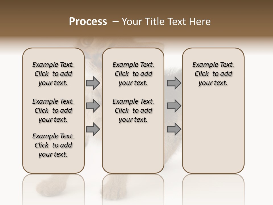 A Small Kitten Standing On Its Hind Legs PowerPoint Template