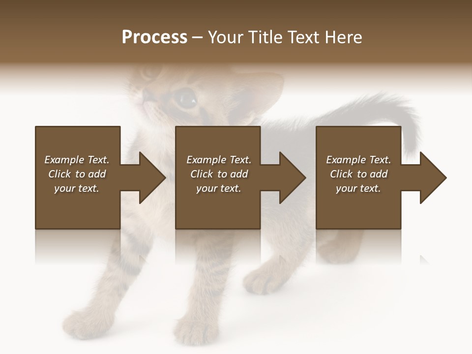 A Small Kitten Standing On Its Hind Legs PowerPoint Template