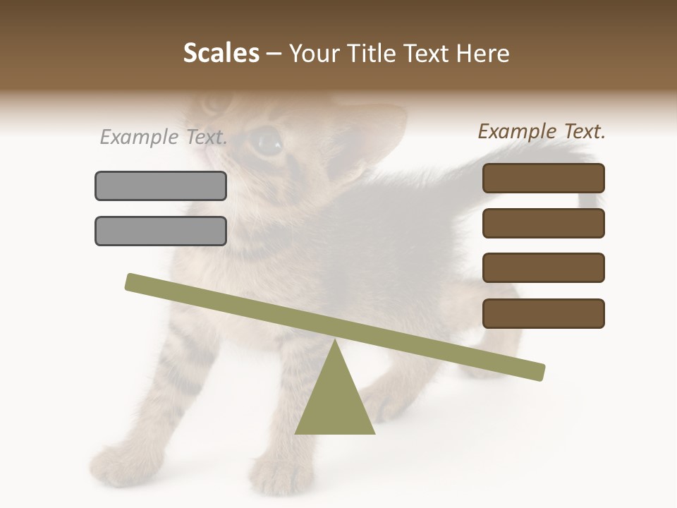 A Small Kitten Standing On Its Hind Legs PowerPoint Template