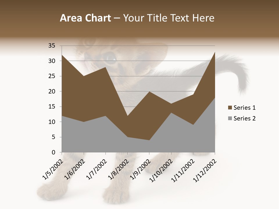 A Small Kitten Standing On Its Hind Legs PowerPoint Template