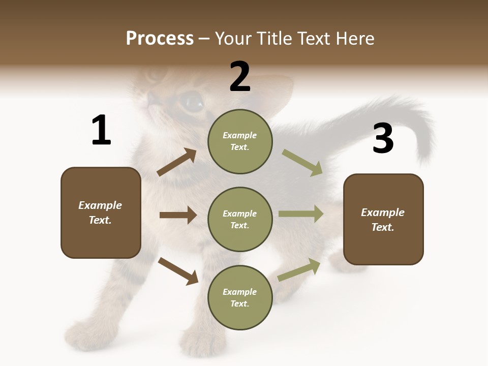 A Small Kitten Standing On Its Hind Legs PowerPoint Template