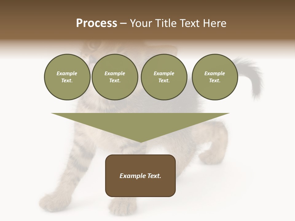 A Small Kitten Standing On Its Hind Legs PowerPoint Template