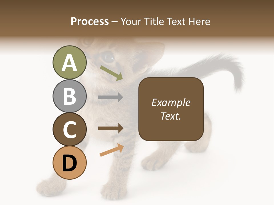 A Small Kitten Standing On Its Hind Legs PowerPoint Template