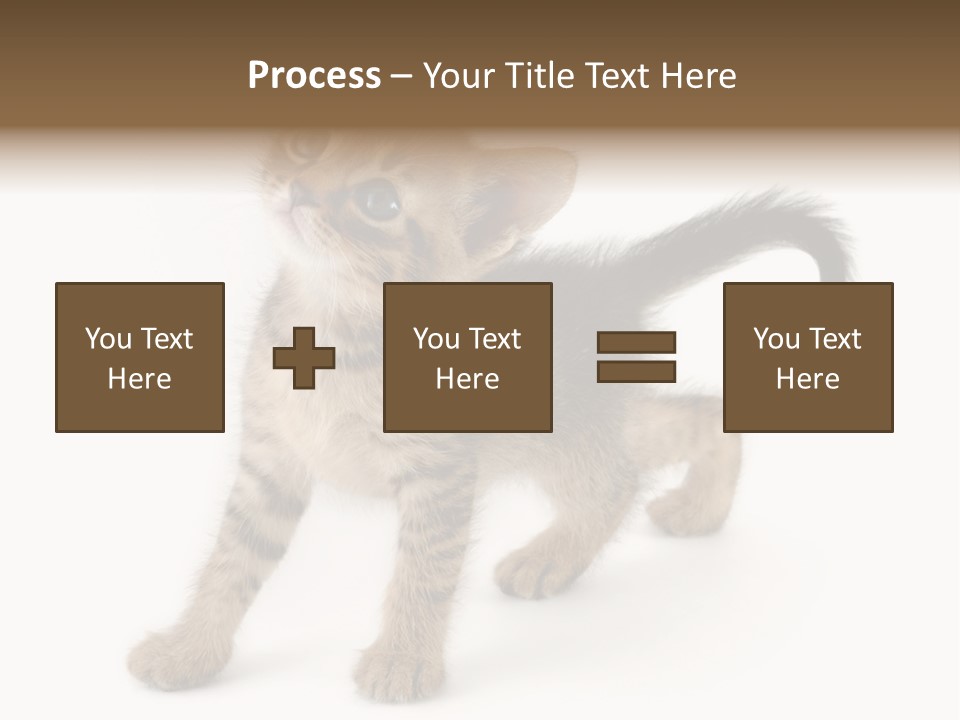 A Small Kitten Standing On Its Hind Legs PowerPoint Template