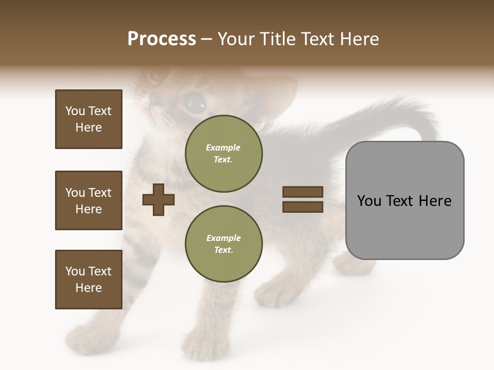 A Small Kitten Standing On Its Hind Legs PowerPoint Template