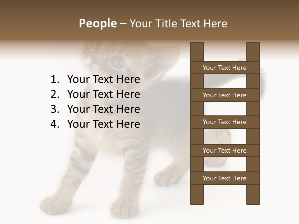 A Small Kitten Standing On Its Hind Legs PowerPoint Template