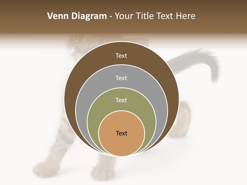 A Small Kitten Standing On Its Hind Legs PowerPoint Template