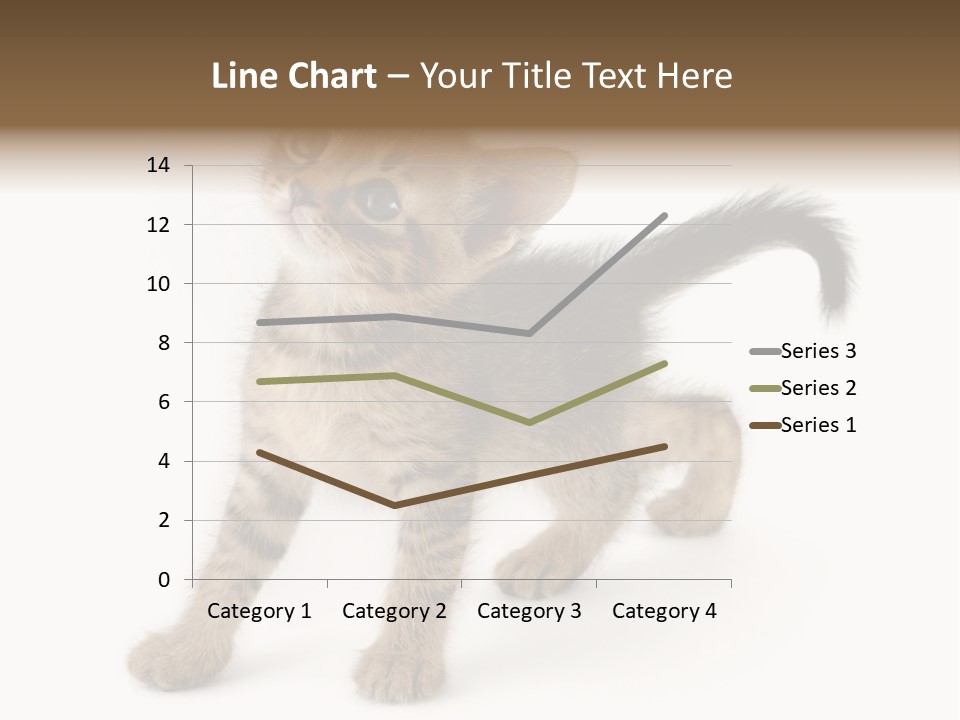 A Small Kitten Standing On Its Hind Legs PowerPoint Template