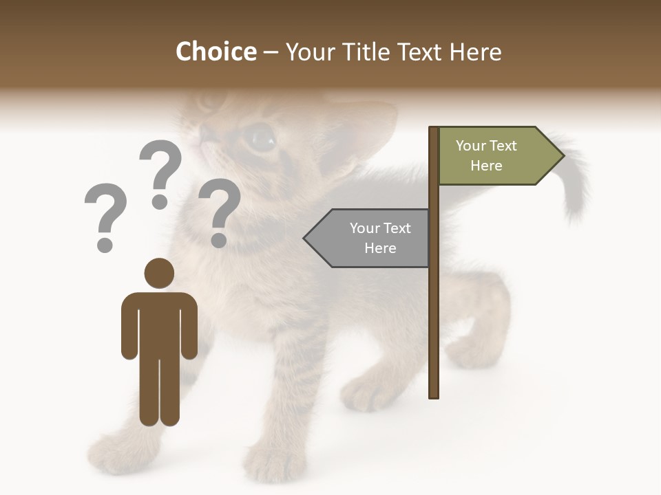 A Small Kitten Standing On Its Hind Legs PowerPoint Template