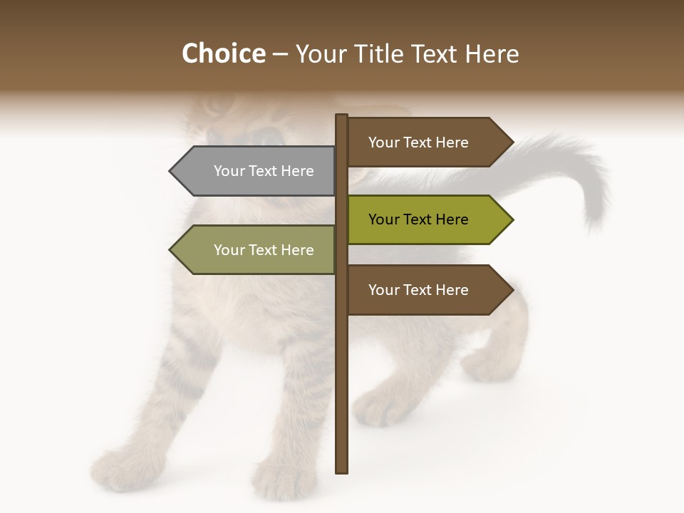 A Small Kitten Standing On Its Hind Legs PowerPoint Template