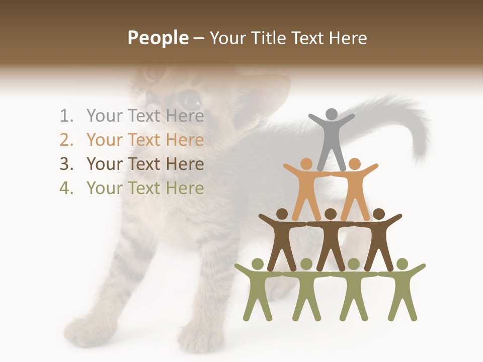 A Small Kitten Standing On Its Hind Legs PowerPoint Template