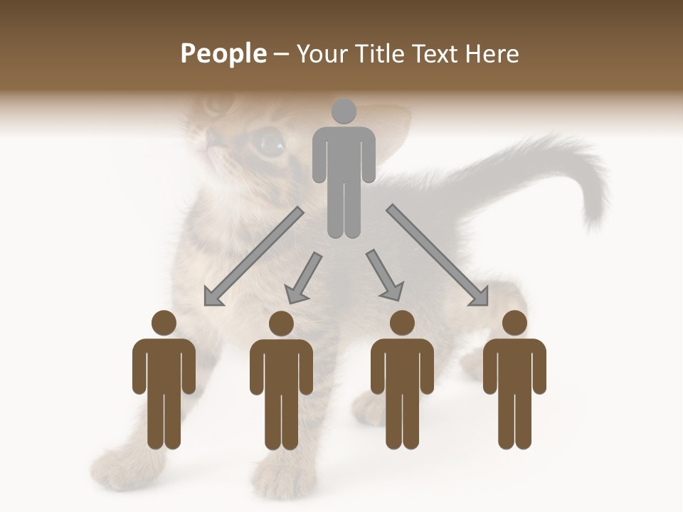 A Small Kitten Standing On Its Hind Legs PowerPoint Template