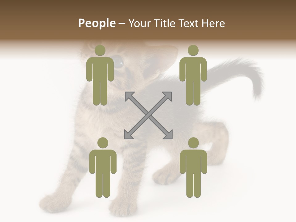 A Small Kitten Standing On Its Hind Legs PowerPoint Template