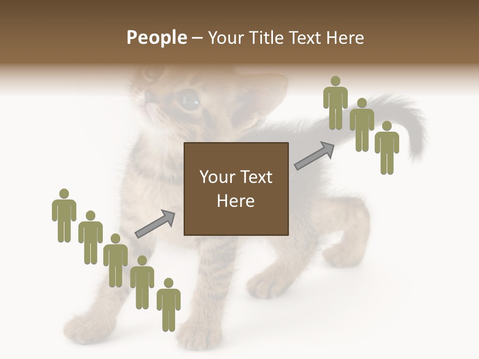 A Small Kitten Standing On Its Hind Legs PowerPoint Template