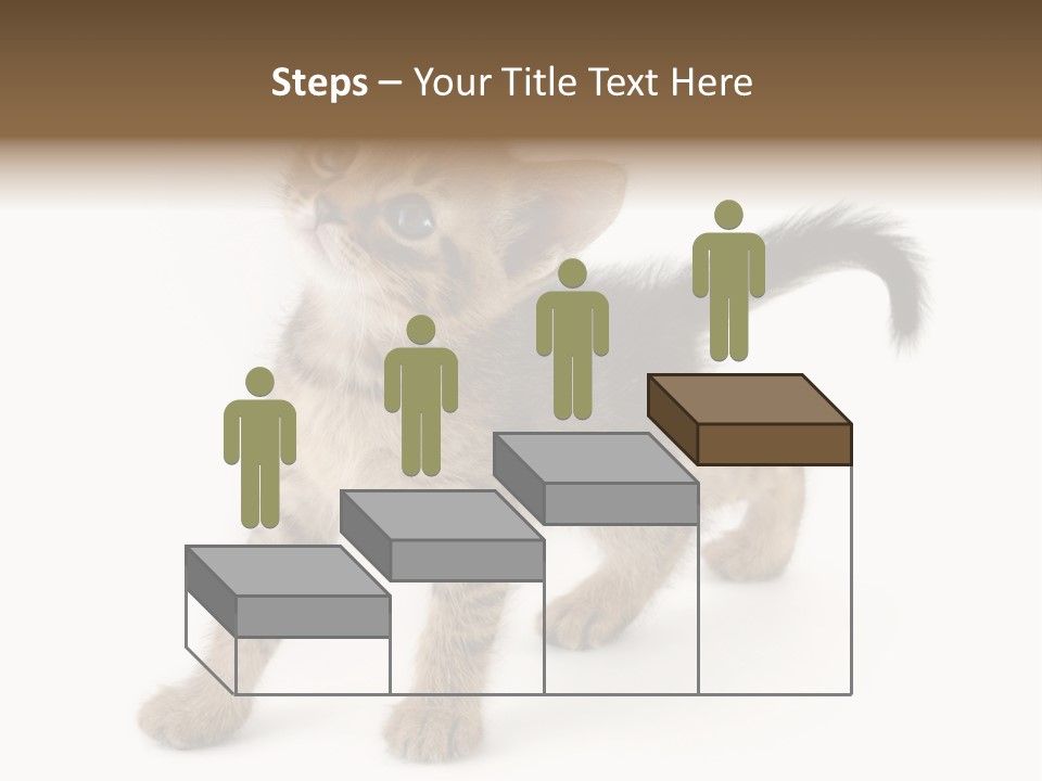 A Small Kitten Standing On Its Hind Legs PowerPoint Template