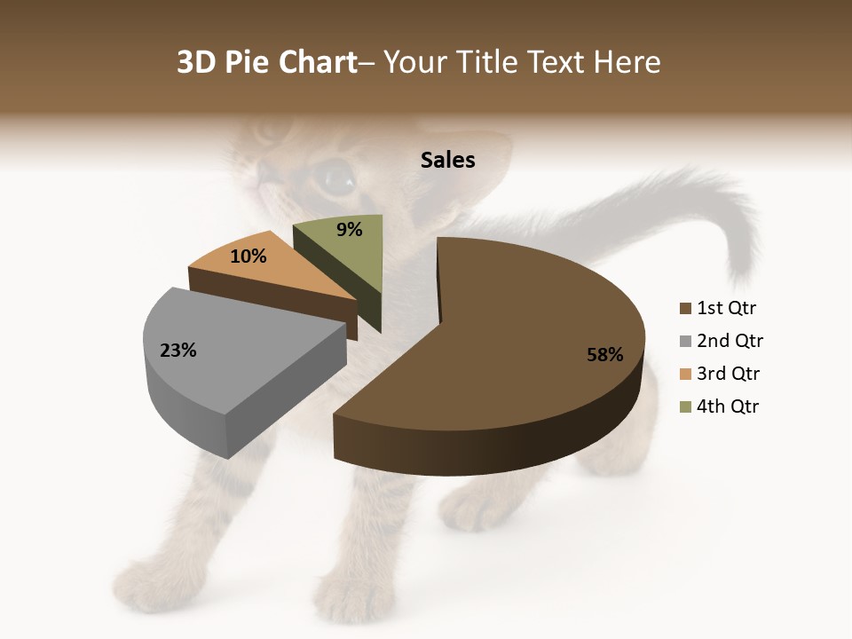 A Small Kitten Standing On Its Hind Legs PowerPoint Template
