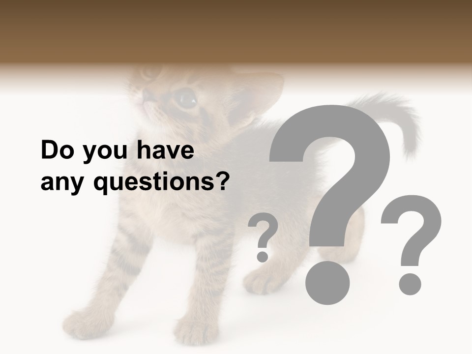 A Small Kitten Standing On Its Hind Legs PowerPoint Template