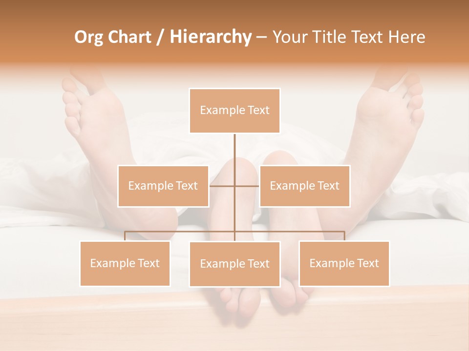 Prelude Bed Y PowerPoint Template