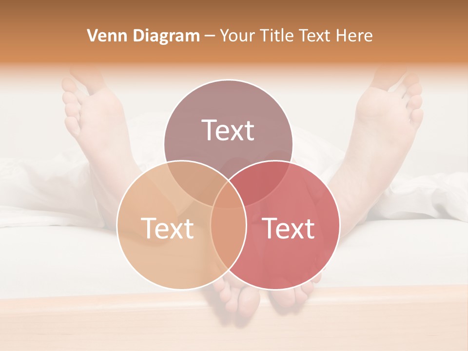 Prelude Bed Y PowerPoint Template