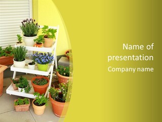 Cranberry Nature Green PowerPoint Template