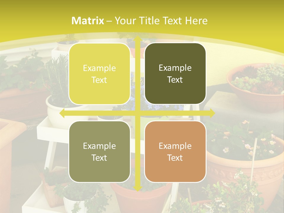 Cranberry Nature Green PowerPoint Template