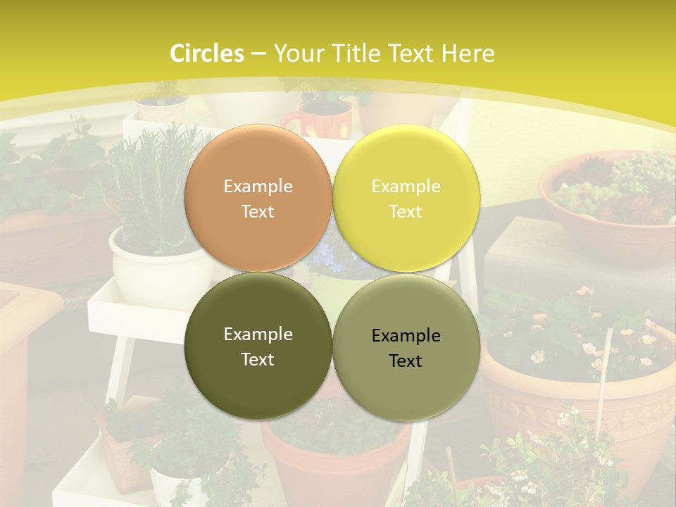 Cranberry Nature Green PowerPoint Template