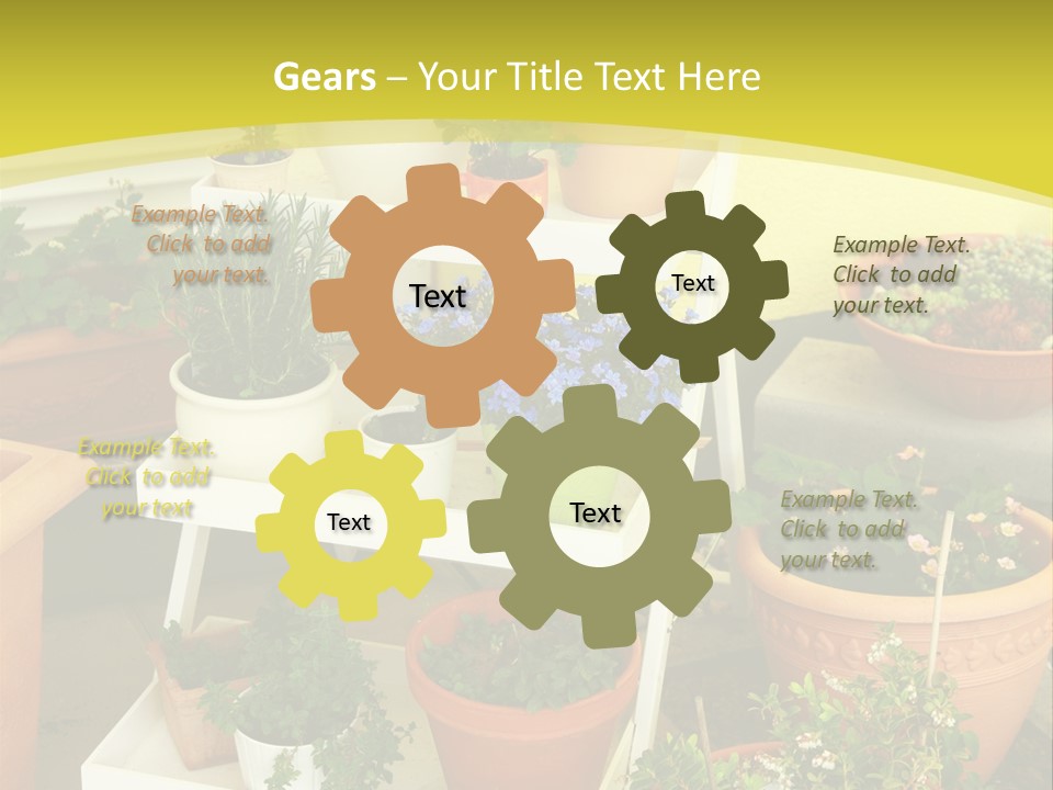 Cranberry Nature Green PowerPoint Template