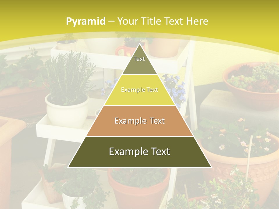 Cranberry Nature Green PowerPoint Template