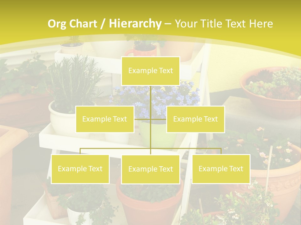 Cranberry Nature Green PowerPoint Template