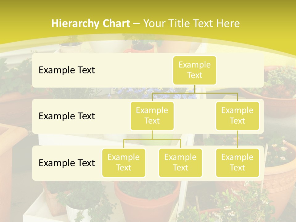 Cranberry Nature Green PowerPoint Template