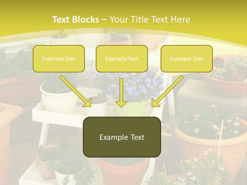 Cranberry Nature Green PowerPoint Template