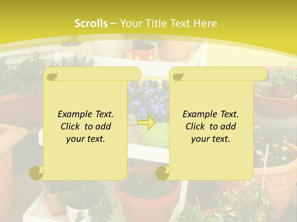 Cranberry Nature Green PowerPoint Template