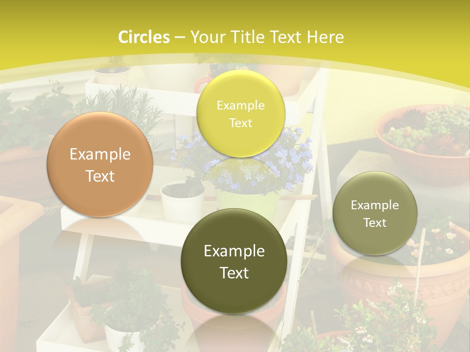 Cranberry Nature Green PowerPoint Template