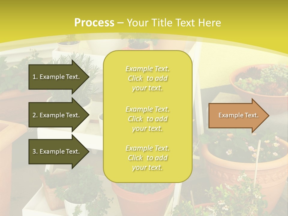 Cranberry Nature Green PowerPoint Template