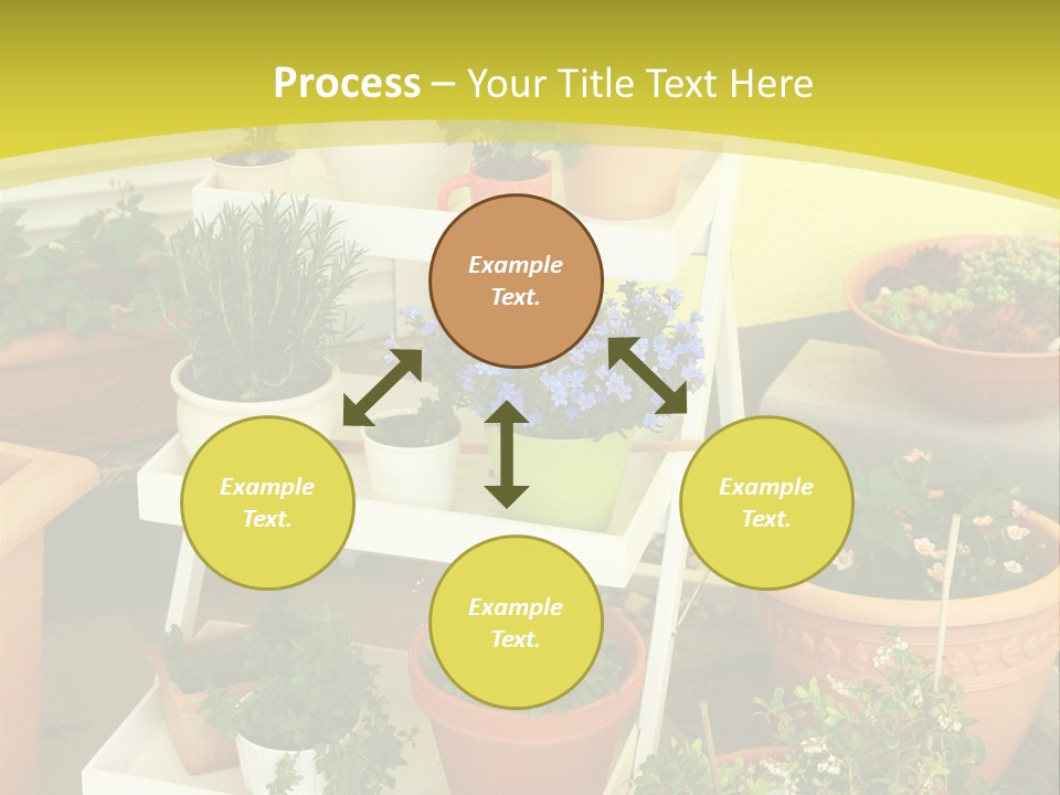 Cranberry Nature Green PowerPoint Template