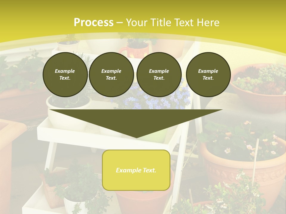 Cranberry Nature Green PowerPoint Template