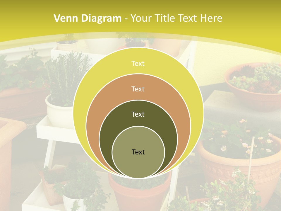 Cranberry Nature Green PowerPoint Template