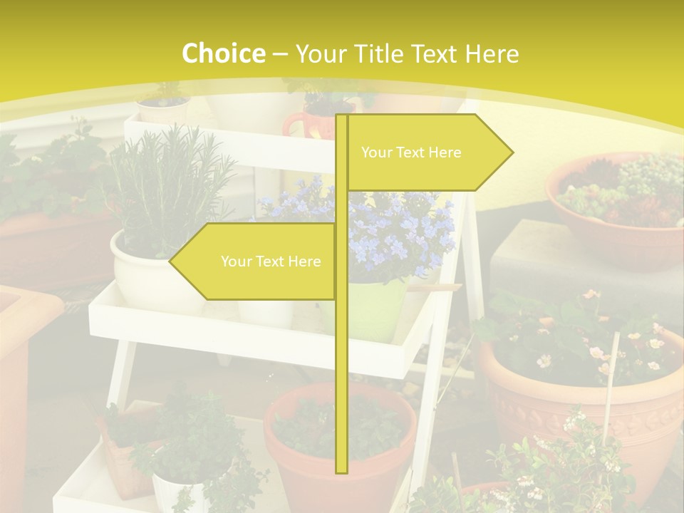 Cranberry Nature Green PowerPoint Template