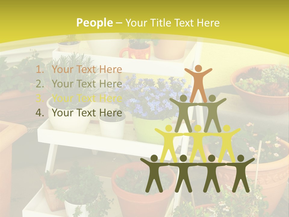 Cranberry Nature Green PowerPoint Template