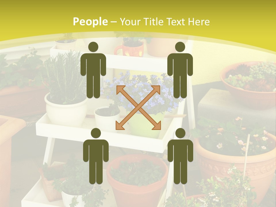 Cranberry Nature Green PowerPoint Template