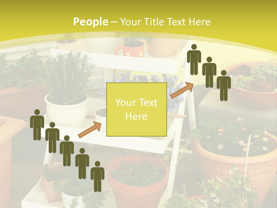 Cranberry Nature Green PowerPoint Template