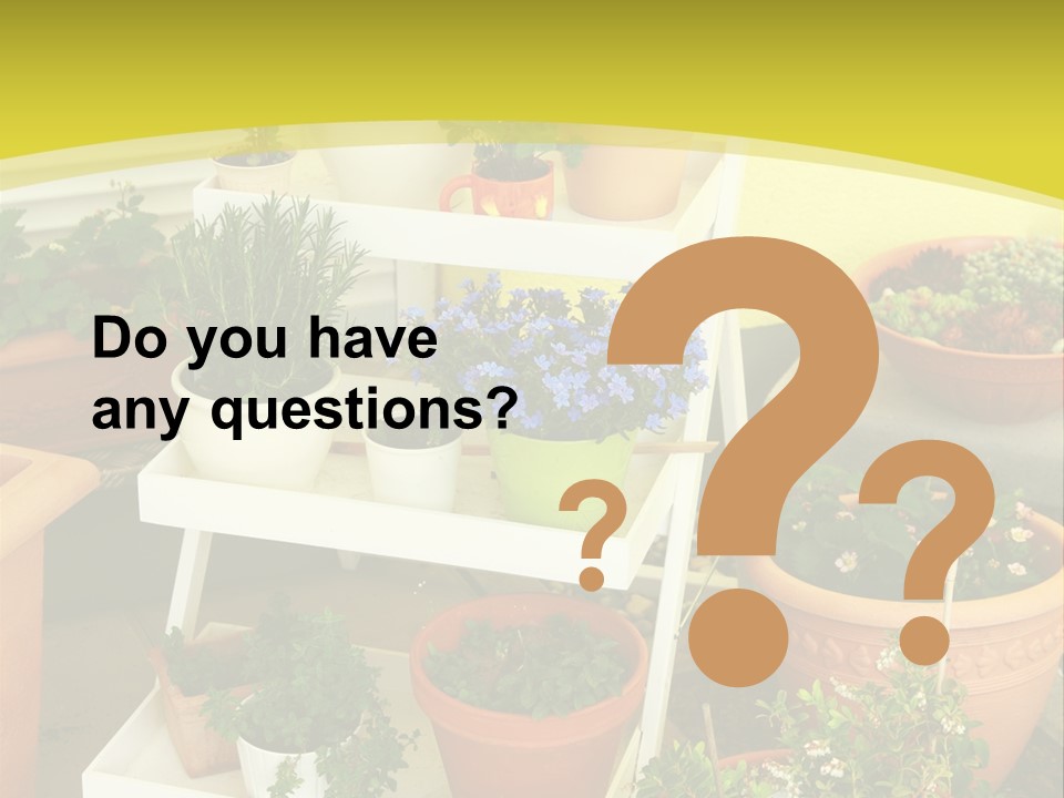 Cranberry Nature Green PowerPoint Template