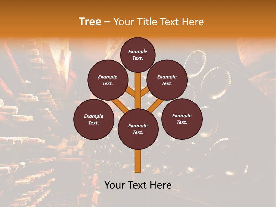 Wine Rack Choice Shop PowerPoint Template