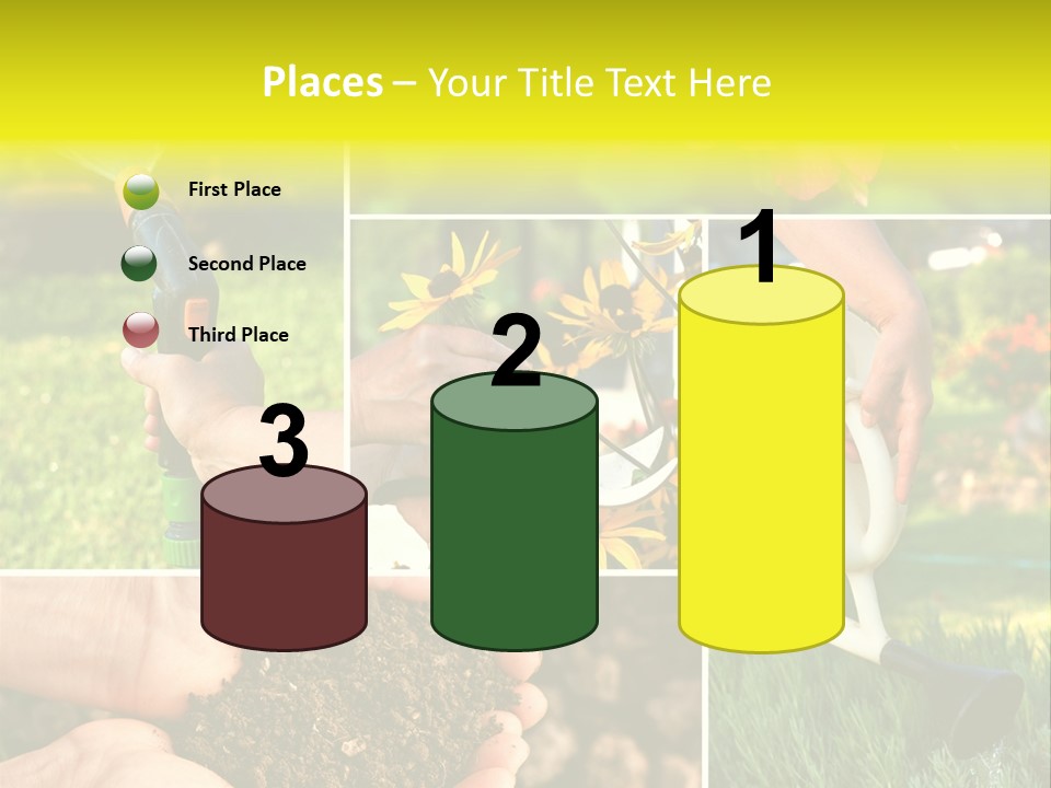 Land Flower Aster PowerPoint Template