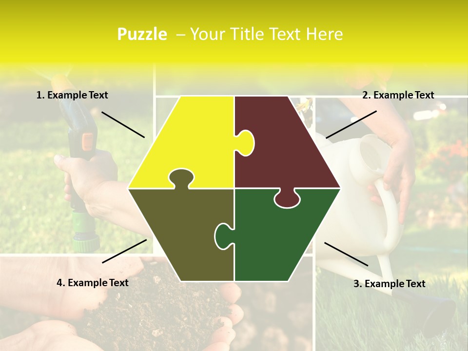 Land Flower Aster PowerPoint Template