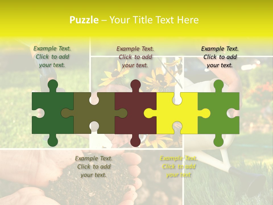 Land Flower Aster PowerPoint Template