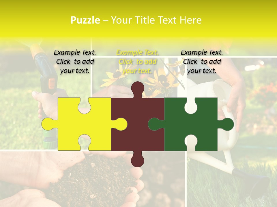 Land Flower Aster PowerPoint Template