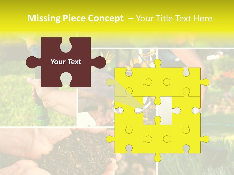 Land Flower Aster PowerPoint Template