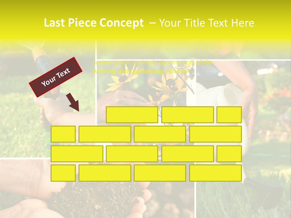 Land Flower Aster PowerPoint Template